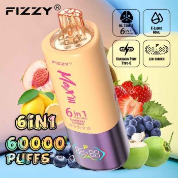 Fizzy Max III 6in1 60K 60000 Puffs Rechargeable Disposable Vape – Strawberry Grape & Blueberry Coconut & Peach Lemon – 10pcs